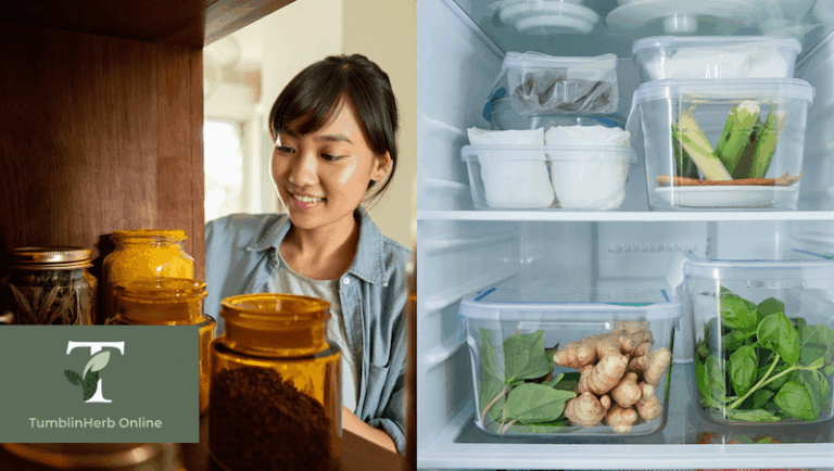 สมุนไพรสด vs สมุนไพรแห้ง