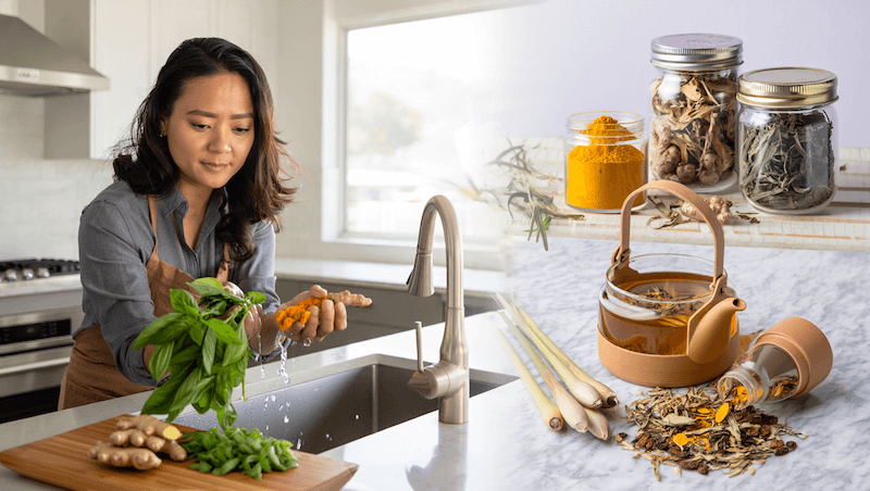 สมุนไพรสด vs สมุนไพรแห้ง