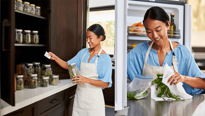 สมุนไพรสด vs สมุนไพรแห้ง