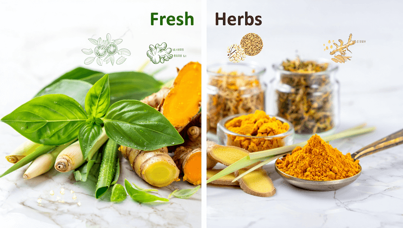 สมุนไพรสด vs สมุนไพรแห้ง