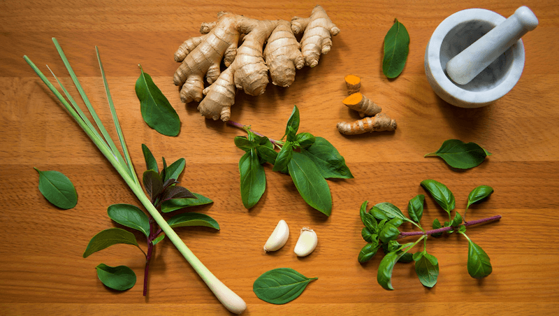 สมุนไพรเสริมภูมิคุ้มกัน