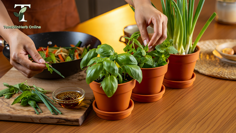 สมุนไพรปลูกง่าย