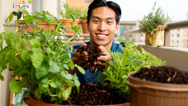 วิธีทำปุ๋ยหมัก